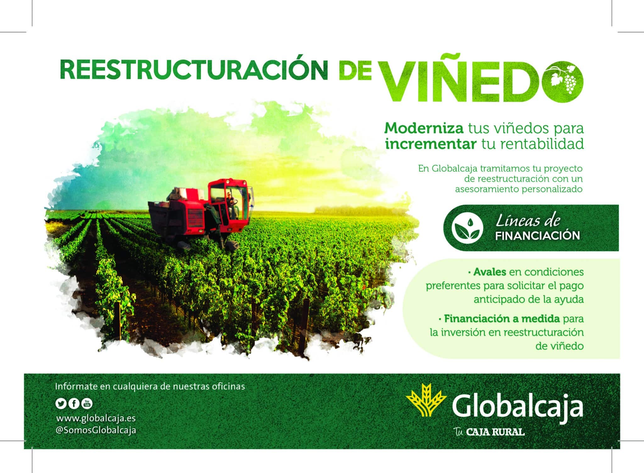 Globalcaja da respuesta y muestra su compromiso con el Sector Agrario en las Ayudas a la Reestructuración y Reconversión de Viñedo 2019