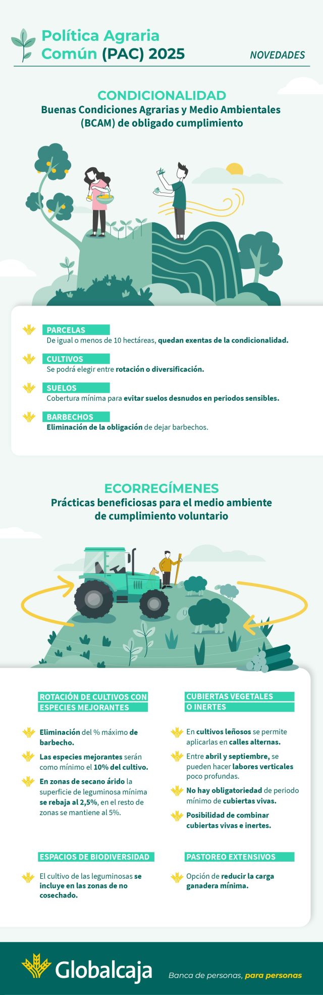 Infografía Novedades de la PAC 2025