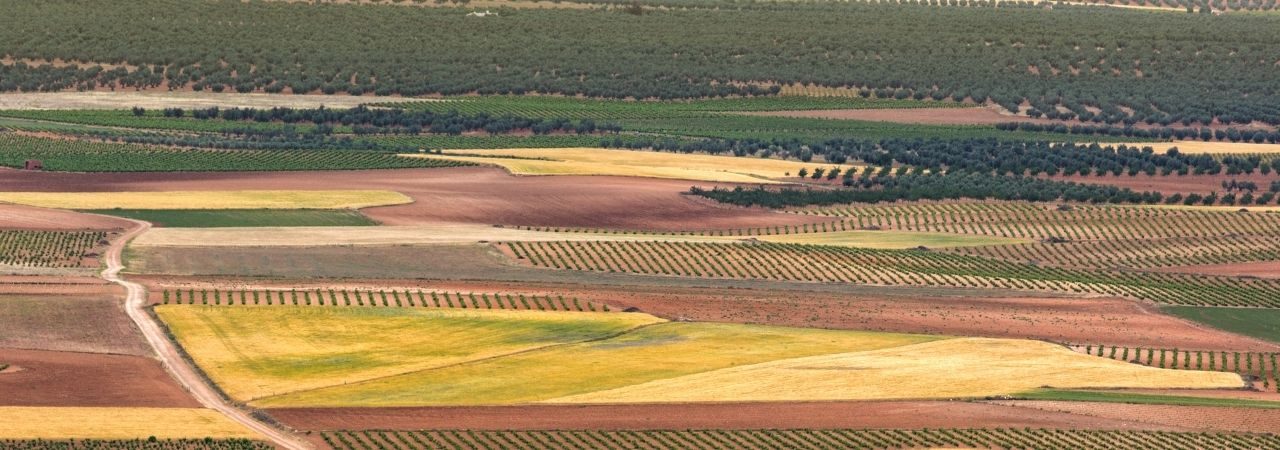Es momento de planificar la PAC 2025, conoce las novedades