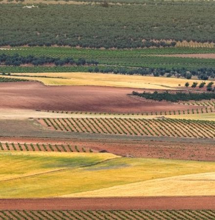 Es momento de planificar la PAC 2025, conoce las novedades